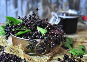 Can you Rely on Elderberry Supplements for Relieving Symptoms of a Common Cold or the Flu?