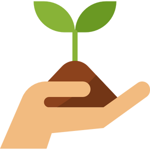 Plant a Tree - More Natural Healing