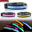 LED Nylon Dog Collars, Small Dogs - Luminous with Retractable Leash - More Natural Healing