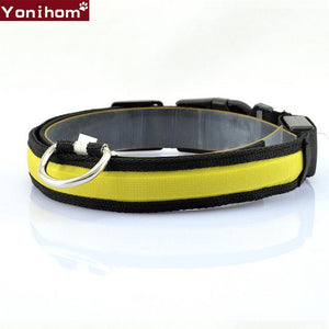 LED Nylon Dog Collars, Small Dogs - Luminous with Retractable Leash - More Natural Healing