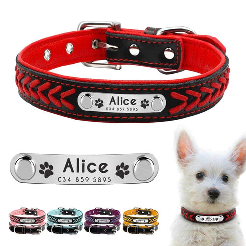 Personalized Padded Dog Collar with Customized Name and ID - More Natural Healing