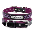 Personalized Padded Dog Collar with Customized Name and ID - More Natural Healing